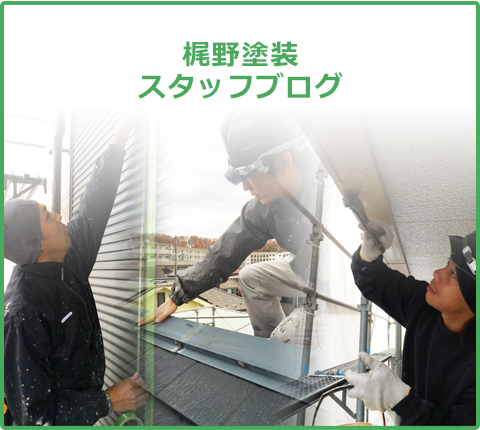 スタッフブログ